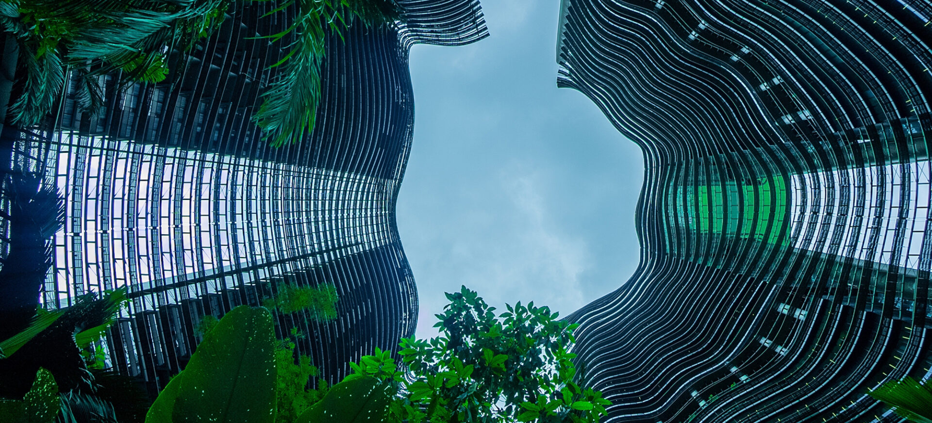 Low Angle fish eye shot Garden city Skyscraper Singapore